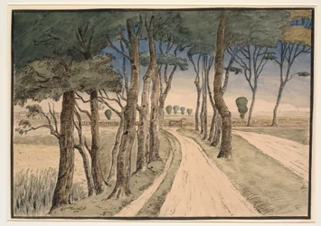 Marklandschaft. Im Vordergrund ein Weg mit Bäumen